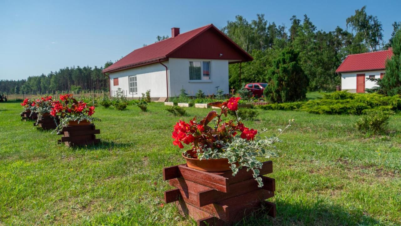 Siedlisko Pod Lasem Zwierzyniec Exterior photo
